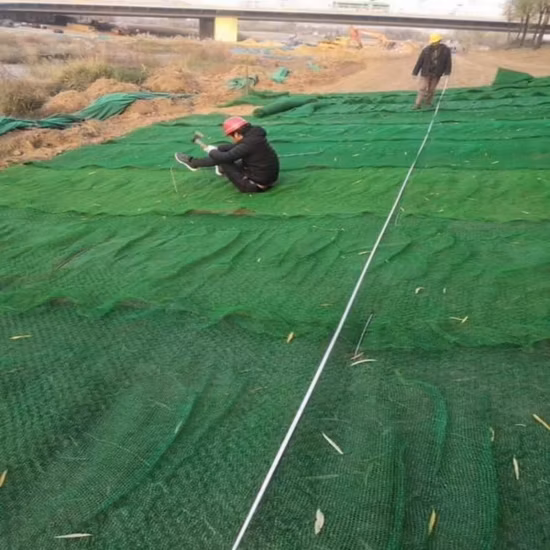 Geomat 3D de alta calidad para protección contra la erosión Em2 Em3 Em4