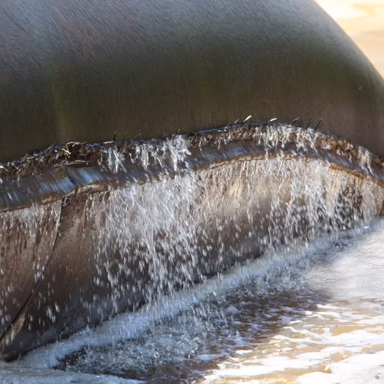 Bolsa de deshidratación tejida PP/Geobag/ para lodos/rompeolas/abrasión de playa